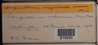Image Associated With the Occurence